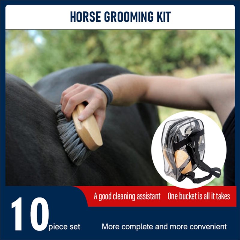 【SPECIAL】Equestrian For Horse  - Grooming Kit Horse 评论和价格